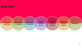 Posture Visual Neurophysiology of Posture and movement | PPTX