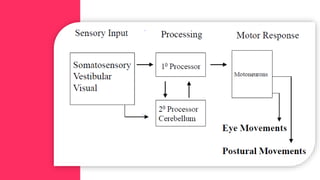 Neurophysiology of Posture and movement | PPTX