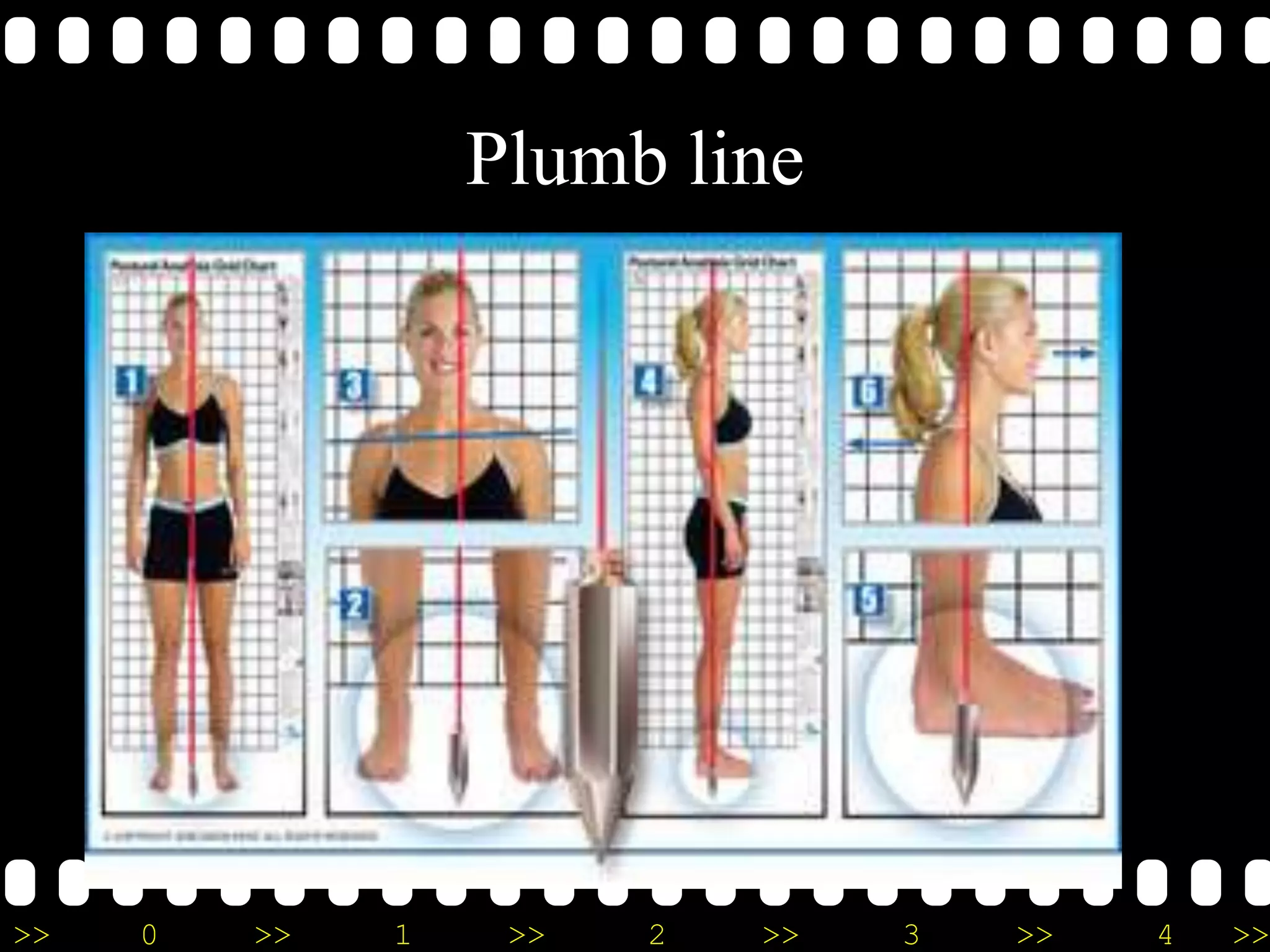 >> 0 >> 1 >> 2 >> 3 >> 4 >>
Plumb line
 