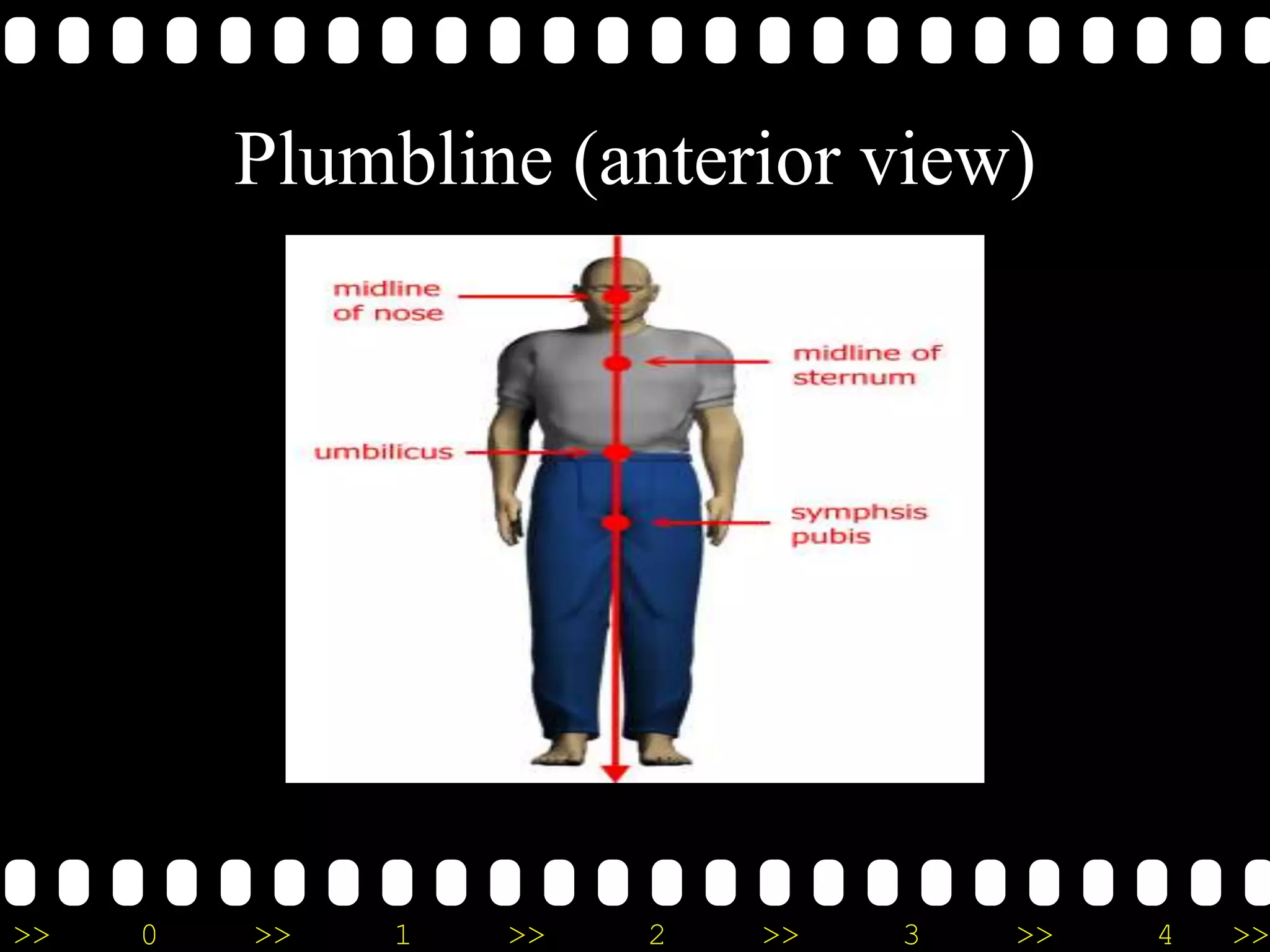 >> 0 >> 1 >> 2 >> 3 >> 4 >>
Plumbline (anterior view)
 