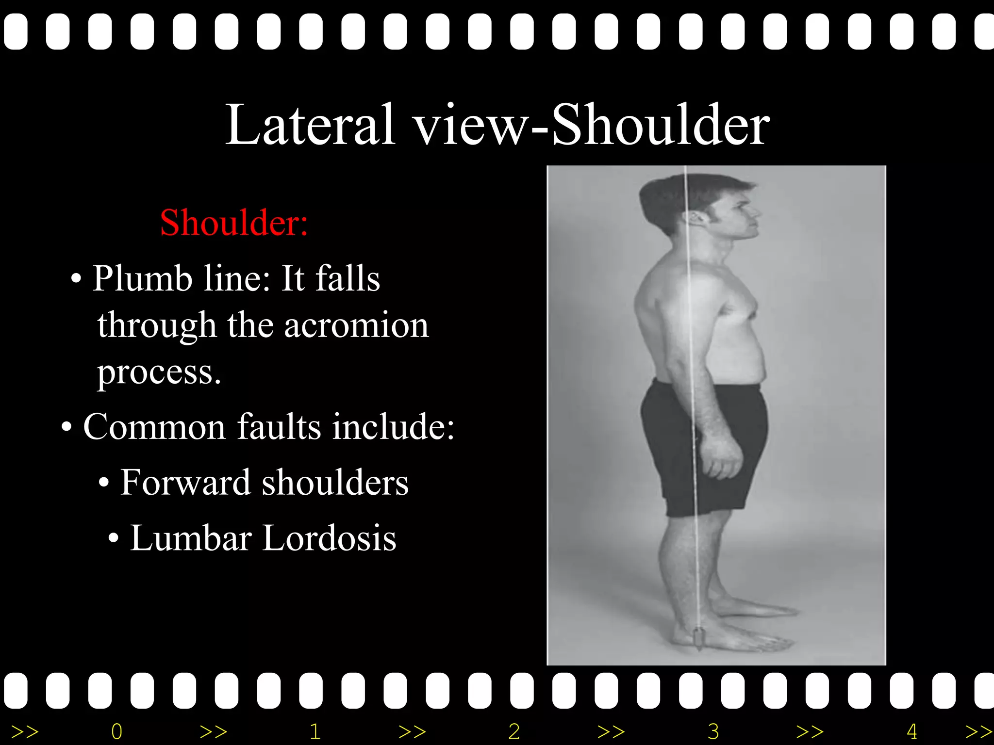 >> 0 >> 1 >> 2 >> 3 >> 4 >>
Lateral view-Shoulder
Shoulder:
• Plumb line: It falls
through the acromion
process.
• Common faults include:
• Forward shoulders
• Lumbar Lordosis
 