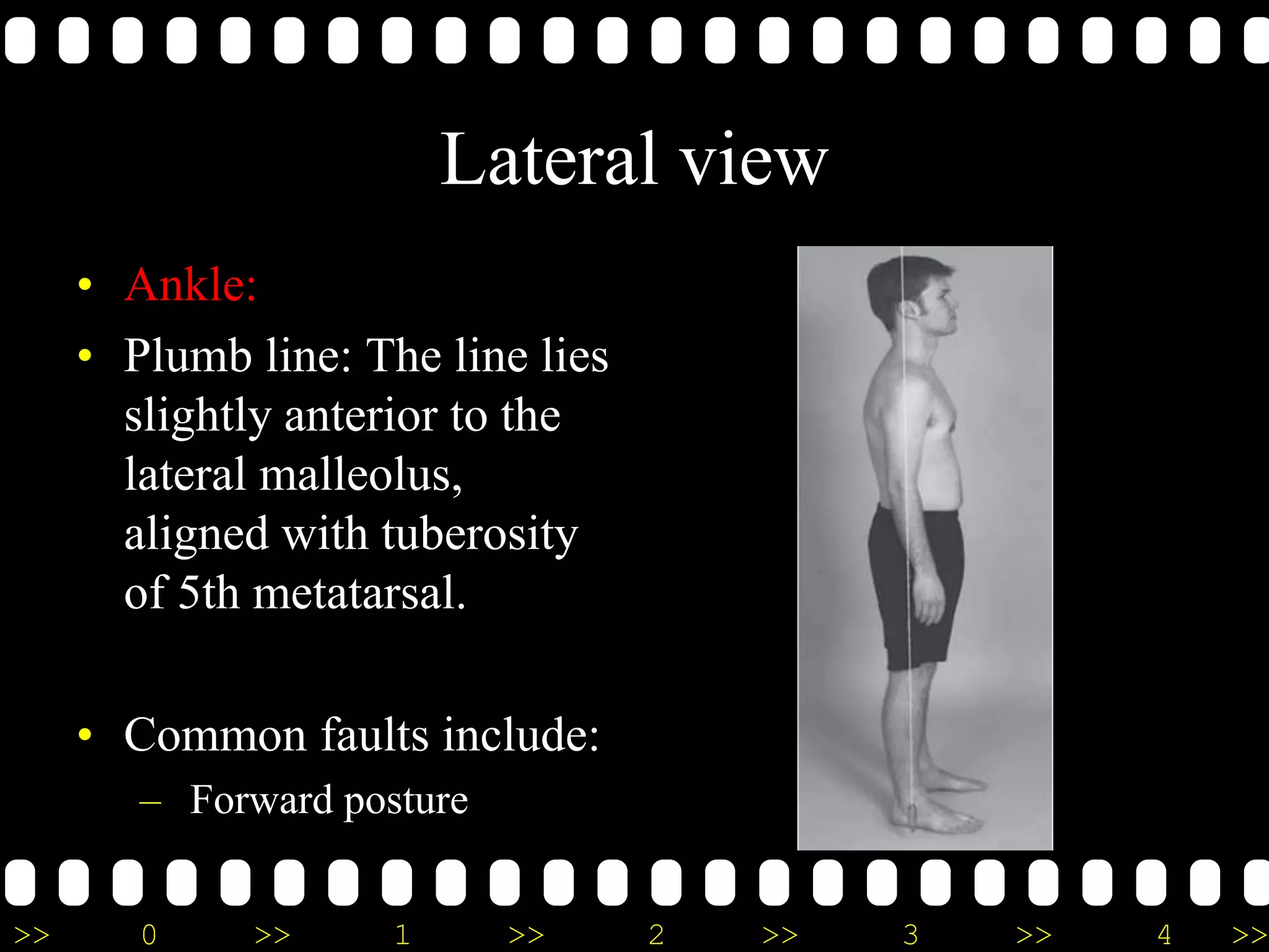 >> 0 >> 1 >> 2 >> 3 >> 4 >>
Lateral view
• Ankle:
• Plumb line: The line lies
slightly anterior to the
lateral malleolus,
aligned with tuberosity
of 5th metatarsal.
• Common faults include:
– Forward posture
 