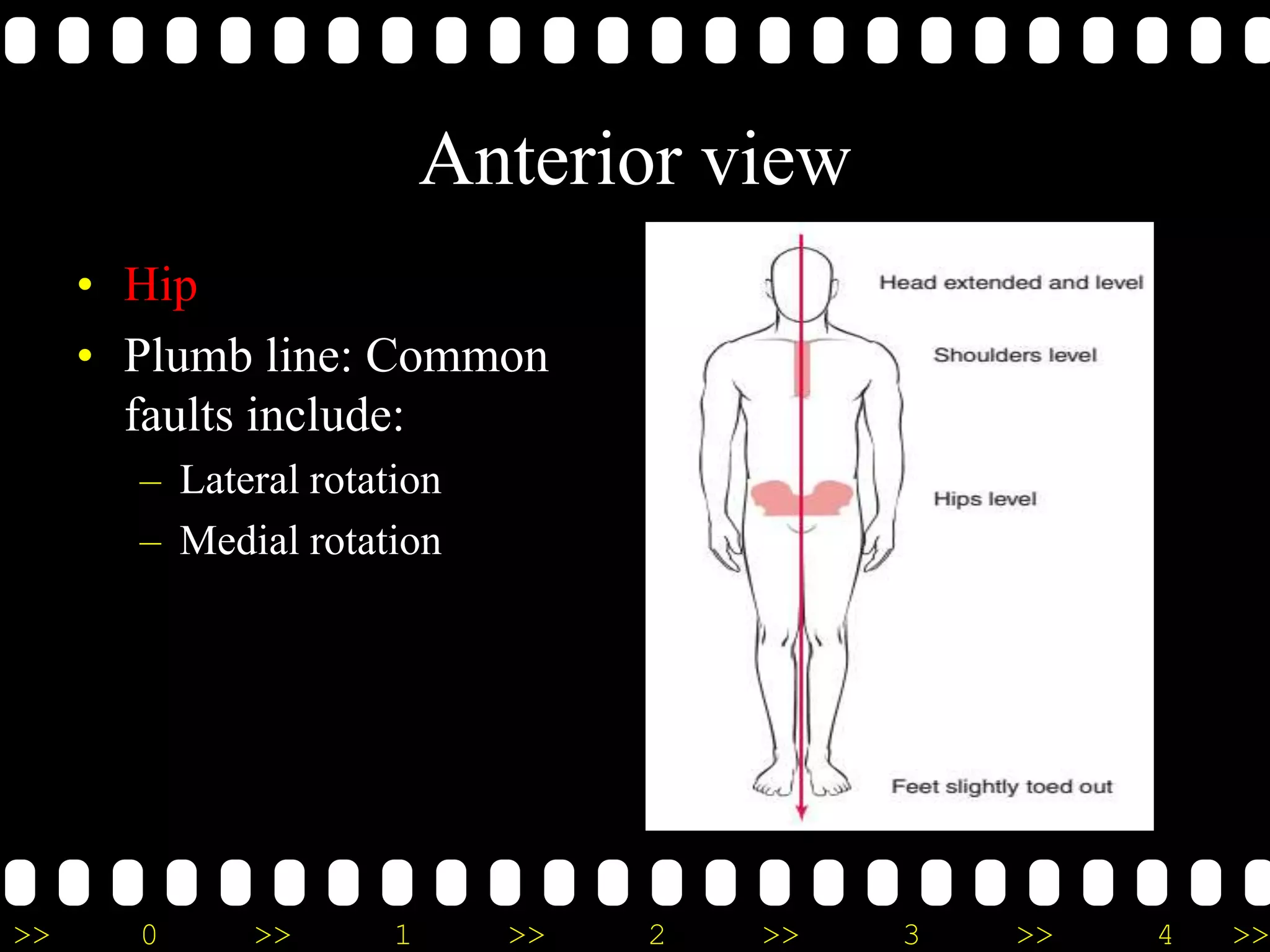 >> 0 >> 1 >> 2 >> 3 >> 4 >>
Anterior view
• Hip
• Plumb line: Common
faults include:
– Lateral rotation
– Medial rotation
 
