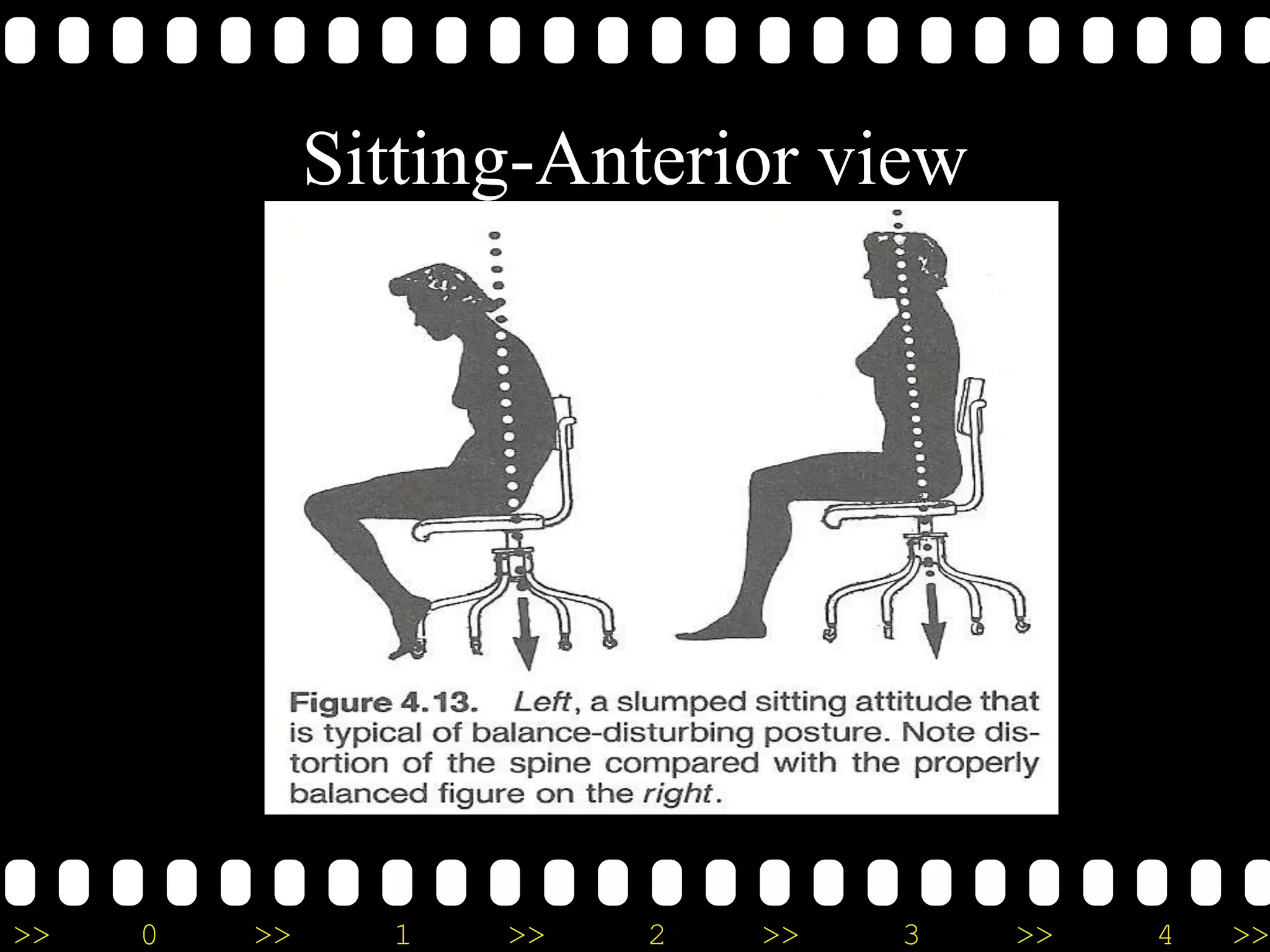 >> 0 >> 1 >> 2 >> 3 >> 4 >>
Sitting-Anterior view
 