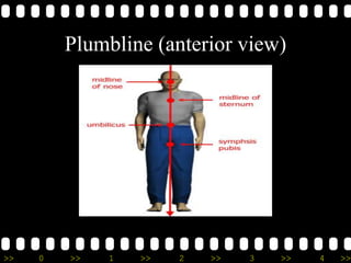 Posture assessment cpd | PPTX