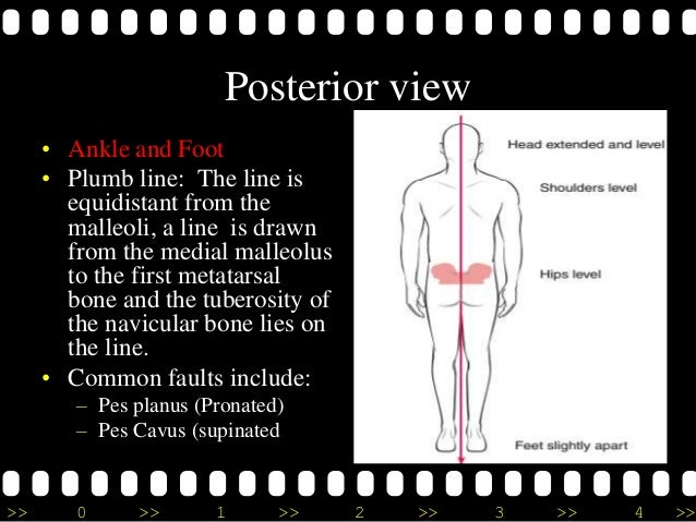 Plumb Line Assessment For Posture – BBVN
