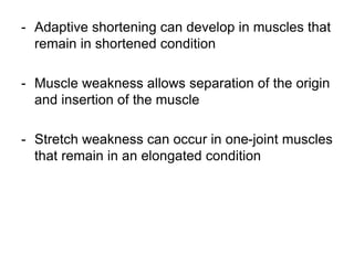 postural assessment presentation_2010.pptx