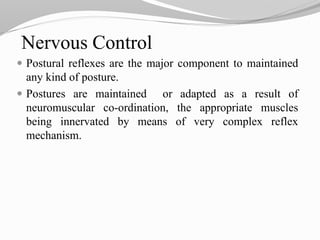 Nervous Control
 Postural reflexes are the major component to maintained
any kind of posture.
 Postures are maintained or adapted as a result of
neuromuscular co-ordination, the appropriate muscles
being innervated by means of very complex reflex
mechanism.
 