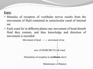 Ears:
 Stimulus of receptors of vestibular nerves results from the
movements of fluid contained in semicircular canal of internal
ear
 Each canal lie in different planes any movement of head disturb
fluid they contain, and thus knowledge and direction of
movement is recorded
 