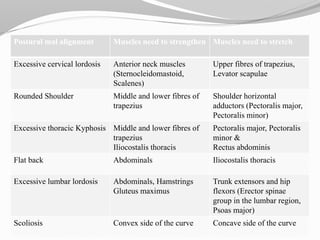 Postural mal alignment Muscles need to strengthen Muscles need to stretch
Excessive cervical lordosis Anterior neck muscles
(Sternocleidomastoid,
Scalenes)
Upper fibres of trapezius,
Levator scapulae
Rounded Shoulder Middle and lower fibres of
trapezius
Shoulder horizontal
adductors (Pectoralis major,
Pectoralis minor)
Excessive thoracic Kyphosis Middle and lower fibres of
trapezius
Iliocostalis thoracis
Pectoralis major, Pectoralis
minor &
Rectus abdominis
Flat back Abdominals Iliocostalis thoracis
Excessive lumbar lordosis Abdominals, Hamstrings
Gluteus maximus
Trunk extensors and hip
flexors (Erector spinae
group in the lumbar region,
Psoas major)
Scoliosis Convex side of the curve Concave side of the curve
 