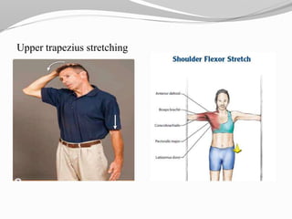 Upper trapezius stretching
 