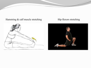 Hamstring & calf muscle stretching Hip flexors stretching
 