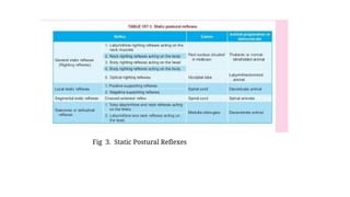Fig 3. Static Postural Reflexes
 