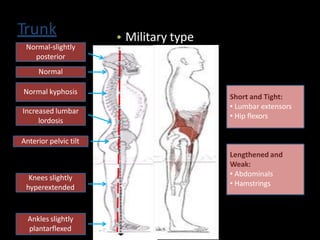 Trunk • Military type
Normal-slightly
posterior
Normal
Normal kyphosis
Increased lumbar
lordosis
Anterior pelvic tilt
Knees slightly
hyperextended
Ankles slightly
plantarflexed
Short and Tight:
• Lumbar extensors
• Hip flexors
Lengthened and
Weak:
• Abdominals
• Hamstrings
 