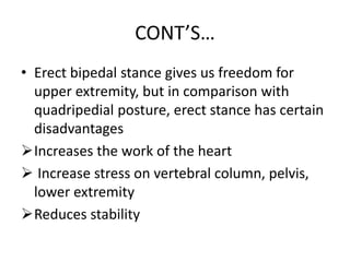 CONT’S…
• Erect bipedal stance gives us freedom for
upper extremity, but in comparison with
quadripedial posture, erect stance has certain
disadvantages
Increases the work of the heart
 Increase stress on vertebral column, pelvis,
lower extremity
Reduces stability
 