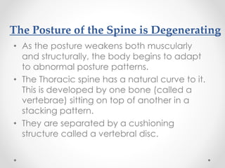 The Posture of the Spine is Degenerating
• As the posture weakens both muscularly
and structurally, the body begins to adapt
to abnormal posture patterns.
• The Thoracic spine has a natural curve to it.
This is developed by one bone (called a
vertebrae) sitting on top of another in a
stacking pattern.
• They are separated by a cushioning
structure called a vertebral disc.
 