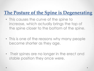 The Posture of the Spine is Degenerating
• This causes the curve of the spine to
increase, which actually brings the top of
the spine closer to the bottom of the spine.
• This is one of the reasons why many people
become shorter as they age.
• Their spines are no longer in the erect and
stable position they once were.
 