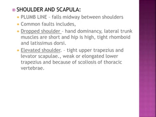  SHOULDER AND SCAPULA:
 PLUMB LINE – falls midway between shoulders
 Common faults includes,
 Dropped shoulder – hand dominancy, lateral trunk
muscles are short and hip is high, tight rhomboid
and latissimus dorsi.
 Elevated shoulder. – tight upper trapezius and
levator scapulae., weak or elongated lower
trapezius and because of scoliosis of thoracic
vertebrae.
 