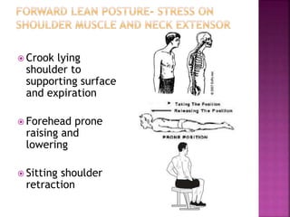  Crook lying
shoulder to
supporting surface
and expiration
 Forehead prone
raising and
lowering
 Sitting shoulder
retraction
 