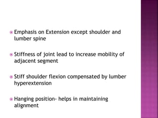  Emphasis on Extension except shoulder and
lumber spine
 Stiffness of joint lead to increase mobility of
adjacent segment
 Stiff shoulder flexion compensated by lumber
hyperextension
 Hanging position- helps in maintaining
alignment
 