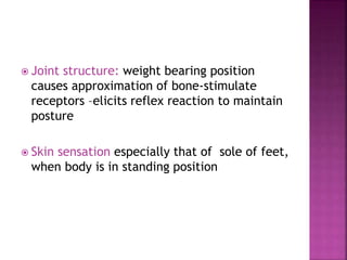  Joint structure: weight bearing position
causes approximation of bone-stimulate
receptors –elicits reflex reaction to maintain
posture
 Skin sensation especially that of sole of feet,
when body is in standing position
 