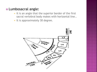  Lumbosacral angle:
 It is an angle that the superior border of the first
sacral vertebral body makes with horizontal line..
 It is approximately 30 degree.
 