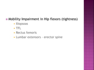  Mobility Impairment in Hip flexors (tightness)
 Iliopsoas
 TFL
 Rectus femoris
 Lumbar extensors – erector spine
 