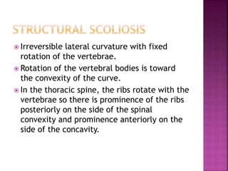  Irreversible lateral curvature with fixed
rotation of the vertebrae.
 Rotation of the vertebral bodies is toward
the convexity of the curve.
 In the thoracic spine, the ribs rotate with the
vertebrae so there is prominence of the ribs
posteriorly on the side of the spinal
convexity and prominence anteriorly on the
side of the concavity.
 
