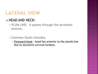  HEAD AND NECK:
 PLUM LINE: It passes through the acromion
process.
 Common faults includes,
 Foreward head – head lies anterior to the plumb line
due to excessive cervical lordosis.
 