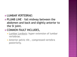  LUMBAR VERTEBRAE:
 PLUMB LINE – fall midway between the
abdomen and back and slightly anterior to
the SI joint.
 COMMON FAULT INCLUDES,
 Lumbar Lordosis: hyper extension of lumbar
vertebrae.
 Anterior pelvic tilt , compressed vertebra
posteriorly.
 
