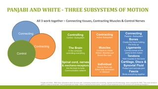 PANJABI AND WHITE - THREE SUBSYSTEMS OF MOTION
Connecting
Contracting
Control
All 3 work together – Connecting tissues, Contracting Muscles & Control Nerves
Connecting
Passive –Subsystem
Bones
Create the frame holding
the body up
Ligaments
Connect bones at the
Joints & limit motion
Tendons
Hold muscles to the bone
Cartilage, Discs &
Synovial Fluid
Protect and lubricate joint
Fascia
Binds everything together
Controlling
Control –Subsystem
The Brain
In the computer
controlling everything
Spinal cord, nerves
& mechano-receptors
Are the brain to body
Communication network
Contracting
Active–Subsystem
Muscles
Contacts to create
Motion. Muscles pull
Bones like rope.
Individual
Muscle fibers are
Either fully contracted
or released
Panjabi and White : NMS three subsystems which we work with. Contracting muscle and connecting ligament and the Neurology which comprise the NMS. They must worked to
gather in order to move well. They compensate and adapt. There is mechanical and control. Unused muscle weakened and it will contract until something changes it.
 