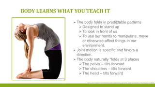 BODY LEARNS WHAT YOU TEACH IT
The body folds in predictable patterns
Designed to stand up
To look in front of us
To use our hands to manipulate, move
or otherwise affect things in our
environment.
Joint motion is specific and favors a
direction.
The body naturally "folds at 3 places
The pelvis – tilts forward
The shoulders – tilts forward
The head – tilts forward
Body Zone Ralston-from Kendall p 270 Connecting ligaments adapt and stretch in the direction of strain
 