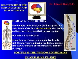 C1  AREAS & PARTS OF  BODY Blood supply to the head, the pituitary gland, the scalp, bones of the face,  the brain itself , the  middle and inner ear, the sympathetic nervous system POSSIBLE SYMPTOMS: Headaches, nervousness, insomnia, head colds, high blood pressure, migraine headaches, nervous breakdown, amnesia, chronic tiredness, dizziness or vertigo. POSTURE IS THE WINDOW TO THE SPINE IS YOUR SPINE IN LINE? Dr. Eduard Burt, D.C. RELATIONSHIP OF THE NERVOUS SYSTEM AND SPINE TO ORGANS 