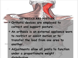 Orthotics and Posture Orthotic devices are employed to correct and support posture.  An orthosis is an external appliance worn to restrict or assist motion or to transfer the load from one area to another. Adjustments allow all joints to function under a proportionate weight distribution. 