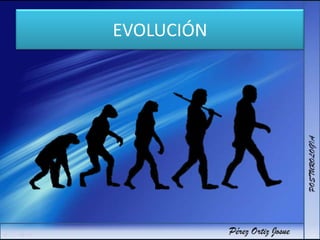 EVOLUCIÓN