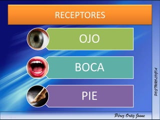 RECEPTORES
OJO
BOCA
PIE