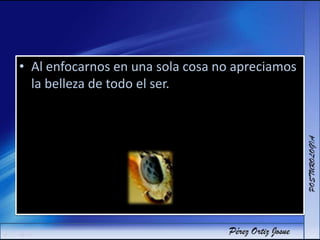 • Al enfocarnos en una sola cosa no apreciamos
la belleza de todo el ser.