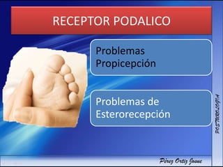 RECEPTOR PODALICO
Problemas
Propicepción
Problemas de
Esterorecepción