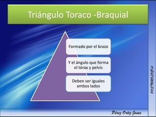 Triángulo Toraco -Braquial
Formado por el brazo
Y el ángulo que forma
el tórax y pelvis
Deben ser iguales
ambos lados