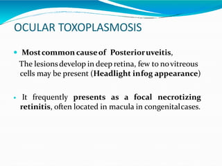 OCULAR TOXOPLASMOSIS
 Mostcommon causeof Posterioruveitis,
The lesionsdevelop in deep retina, few to novitreous
cells may be present (Headlight infog appearance)
 It frequently presents as a focal necrotizing
retinitis, often located in macula in congenitalcases.
 