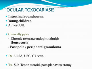 OCULAR TOXOCARIASIS
 Intestinal roundworm.
 Youngchildren
 Almost U/L
 Clinically p/w-
- Chronic toxocara endophthalmitis
(leucocoria)
- Post pole / peripheralgranuloma
 Dx-ELISA, USG, CT scan.
 Tx- Sub-Tenon steroid, pars planavitrectomy
 