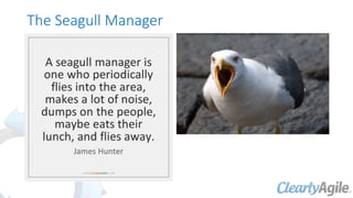 The Seagull Manager
 