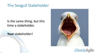 The Seagull Stakeholder
Is the same thing, but this
time a stakeholder.
Your stakeholder!
 