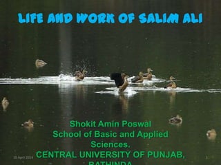 LIFE AND WORK Of SALIM ALI
Shokit Amin Poswal
School of Basic and Applied
Sciences.
CENTRAL UNIVERSITY OF PUNJAB,10 April 2014 1
 