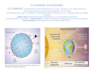 3.2.2 ONADES: JA ESTUDIADES.
  3.2.3 MAREES: - DEFORMACIONS DEL MAR PER ATRACCIÓ DE LA LLUNA , UNA MICA EL SOL I FORÇA CENTRIFUGA.
                       - QUASI IMPERCEPTIBLES A ALTA MAR, PERÒ AUGMENTEN PROP DE COSTA.
- PER ALINEACIÓ AMB LLUNA => 2 PLENAMAR I 2 BAIXAMAR PER DIA=> CANVI CADA 6 h. 1/4 => CADA DIA CANVIA ELS HORARIS
                                                    DE MAREES.
               - MAREES VIVES: PER ALINEACIÓ A MÉS A MÉS AMB EL SOL => EN LLUNA PLENA I LLUNA NOVA.
EN QUARTS CREIXENT I DECREIXENT => MAREES MORTES. PODEN FER AUGMENT O DISMINUCIÓ FINS UN 20% DE LES NORMALS.
                      - AMPLITUD MAREES: VARIA SEGONS LATITUD, FONDÀRIA, FORMA COSTA ......
 