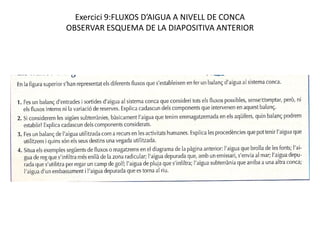 Exercici 9:FLUXOS D’AIGUA A NIVELL DE CONCA
OBSERVAR ESQUEMA DE LA DIAPOSITIVA ANTERIOR
 