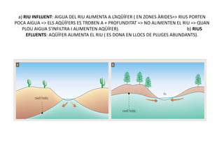a) RIU INFLUENT: AIGUA DEL RIU ALIMENTA A L’AQÜÍFER ( EN ZONES ÀRIDES=> RIUS PORTEN
POCA AIGUA => ELS AQÜÍFERS ES TROBEN A + PROFUNDITAT => NO ALIMENTEN EL RIU => QUAN
   PLOU AIGUA S’INFILTRA I ALIMENTEN AQÜÍFER).                               b) RIUS
     EFLUENTS: AQÜÍFER ALIMENTA EL RIU ( ES DONA EN LLOCS DE PLUGES ABUNDANTS).
 