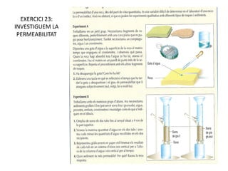 EXERCICI 23:
INVESTIGUEM LA
 PERMEABILITAT
 