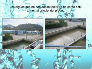 Les aigües que no han passat pel filtre de carbó actiu
            tornen al principi del procés.
 