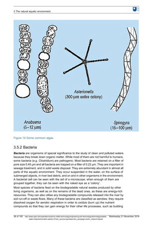 Figure 14 Some common algae
3.5.2 Bacteria
Bacteria are organisms of special significance to the study of clean and polluted waters
because they break down organic matter. While most of them are not harmful to humans,
some bacteria (e.g. Clostridium) are pathogenic. Most bacteria are retained on a filter of
pore size 0.45 μm and all bacteria are trapped on a filter of 0.22 μm. They are important in
sewage treatment, and in solid waste disposal. They are extremely abundant in almost all
parts of the aquatic environment. They occur suspended in the water, on the surface of
submerged objects, in river bed debris, and on and in other organisms in the environment.
A bacterial cell can be seen with the aid of a microscope; when enough of them are
grouped together, they can be seen with the naked eye as a 'colony'.
Most species of bacteria feed on the biodegradable natural wastes produced by other
living organisms, as well as on the remains of the dead ones, as these are energy-rich
resources. They can also utilise any biodegradable compounds released into the river by
soil run-off or waste flows. Many of these bacteria are classified as aerobes: they require
dissolved oxygen for aerobic respiration in order to oxidize (burn up) the nutrient
compounds so that they can gain energy for their other life processes, such as building
3 The natural aquatic environment
38 of 100 http://www.open.edu/openlearn/science-maths-technology/engineering-and-technology/technology/potable-
water-treatment/content-section-0?utm_source=openlearnutm_campaign=olutm_medium=ebook
Wednesday 21 November 2018
 